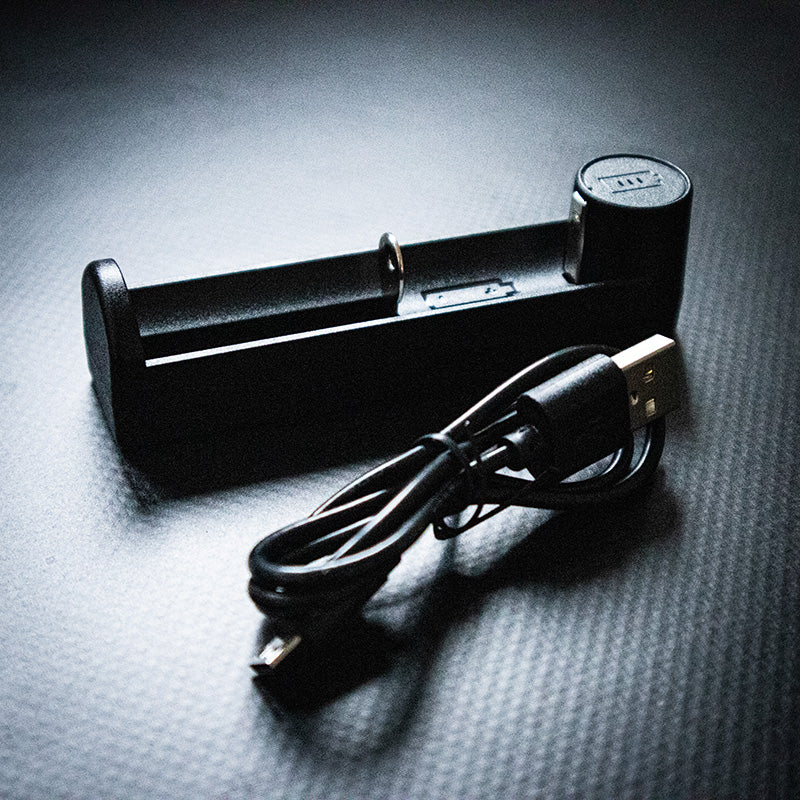 External Battery Charger