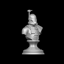 Load image into Gallery viewer, Captain Rex Bust - Printed DIY
